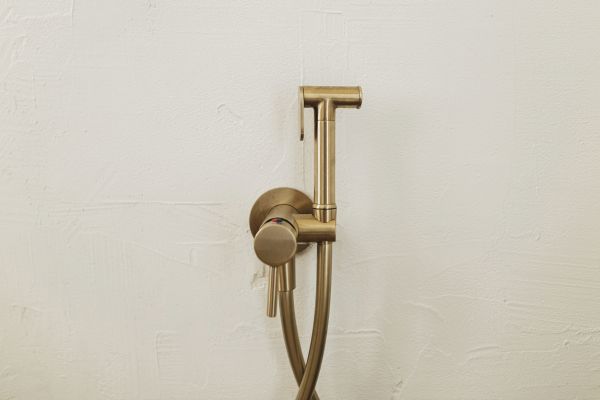 Bidet Plumbing Service in Cincinnati